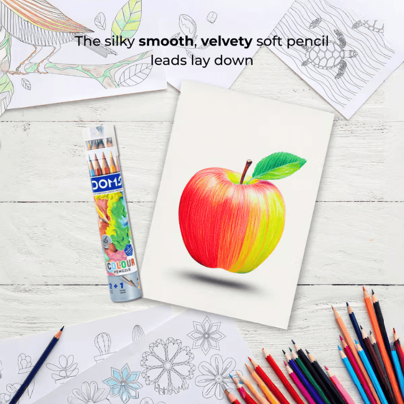 DOMS 12 Color Pencils With Silver Color And Cap Sharpener (8)